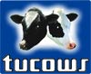 Photo SlideShow Tucows 3 star